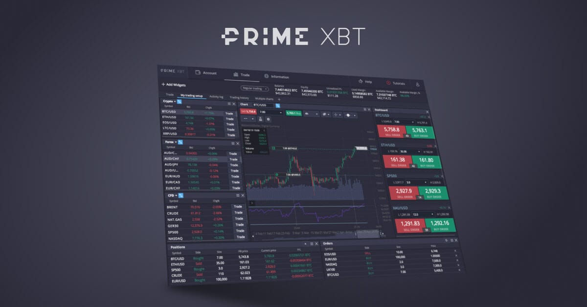 Unlocking Potential with Copy Trading PrimeXBT Unlocking Potential with Copy Trading PrimeXBT